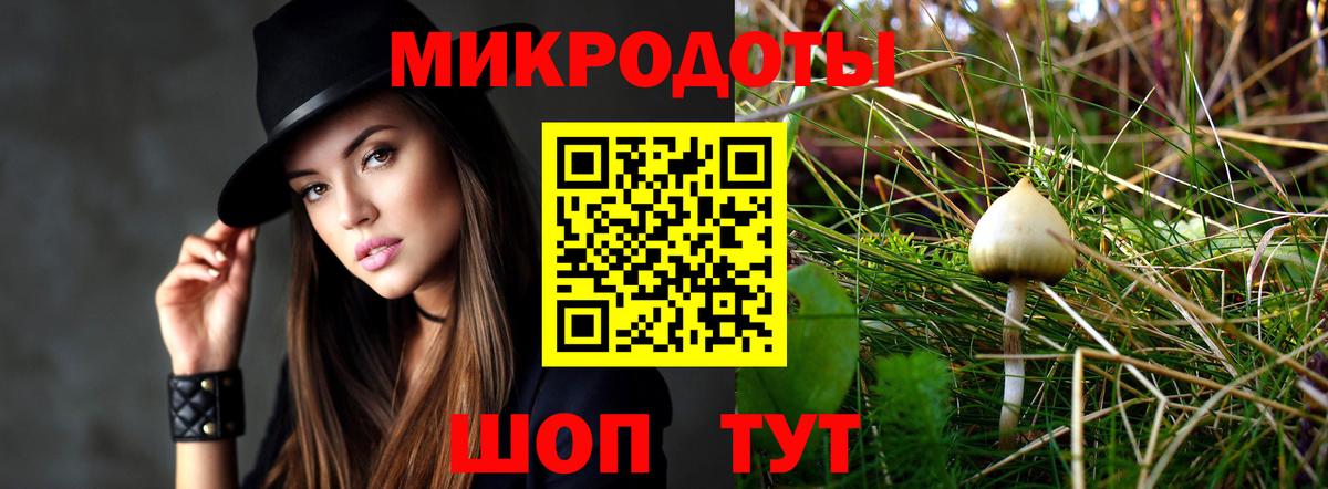 Псилоцибиновые грибы Psilocybine cubensis Миллерово