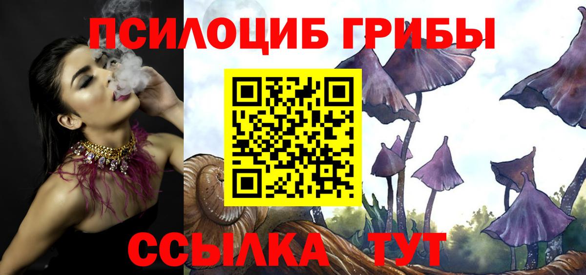 Галлюциногенные грибы ЛСД  как найти закладки  Галлюциногенные грибы мицелий  Миллерово  Вход с VPN 