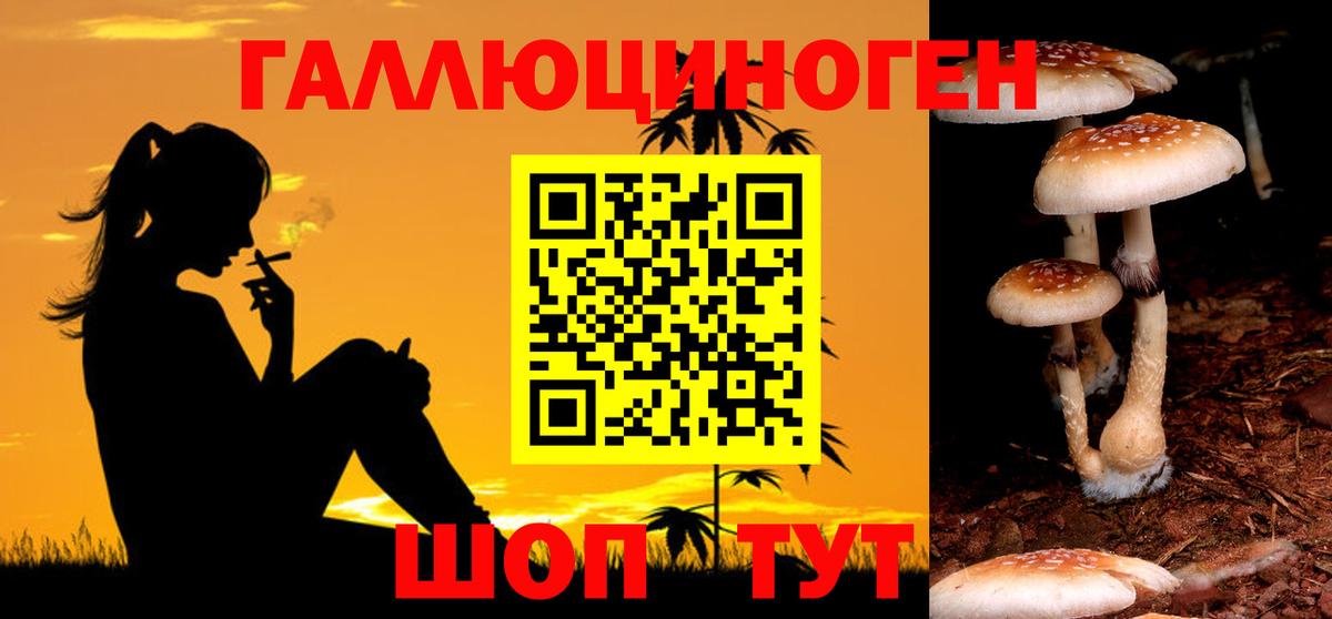 Псилоцибиновые грибы Psilocybe Миллерово