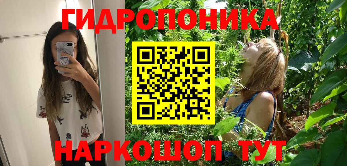 МАРИХУАНА MAZAR  Марихуана Bruce Banner  Конопля планчик  Шишки марихуана VHQ  Миллерово  Вход с VPN 